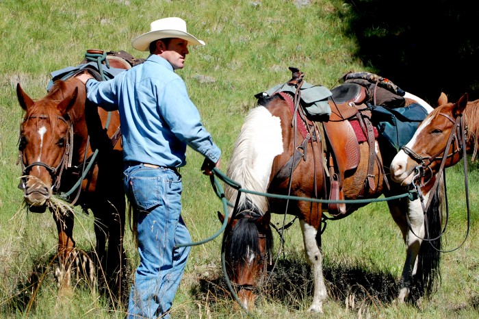 I tried horse riding on holiday and now it's my passion ! Visit for more on my blog